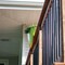 Nuvo Iron 26 in LONG x 3/4 in DIAMETER BLACK ROUND TUBING GALVANIZED STEEL BALUSTERS, 10PK RDPS26 - alternate 3